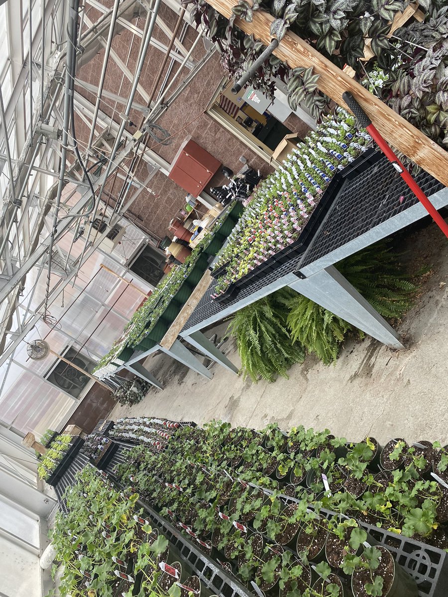 St. Marys FFA tweet media