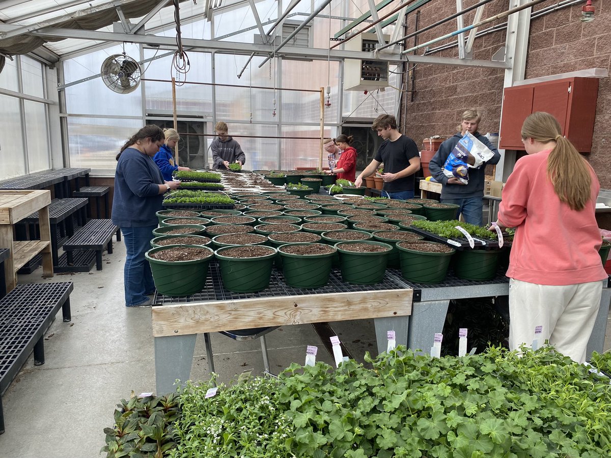 St. Marys FFA tweet media