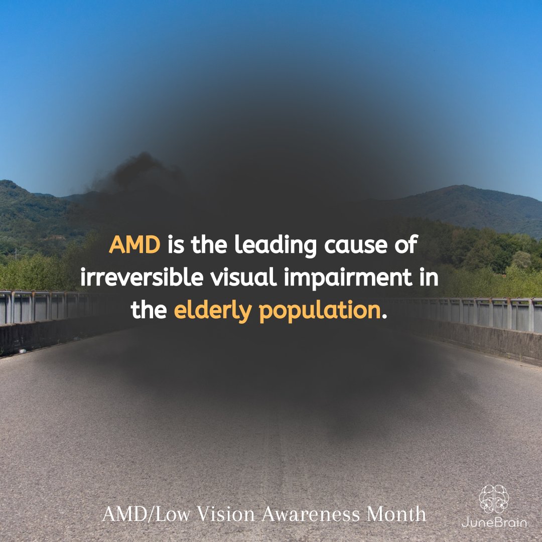 February is #AgeRelatedMacularDegeneration and #LowVision Awareness Month. #AMD is the leading cause of irreversible visual impairment in the elderly population. Learn how to manage eye health with AMD by visiting our blog➡️junebrain.com/post/managing-…