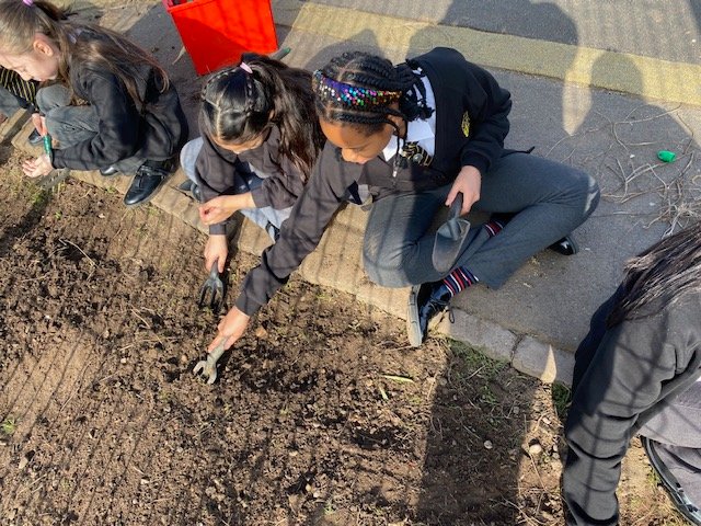 The children are busy in the sunshine preparing the soil to plant their seeds. They are looking forward to watching their beautiful flowers grow. @sowandgrowuk @HolyFamilyYear2 @year_holy