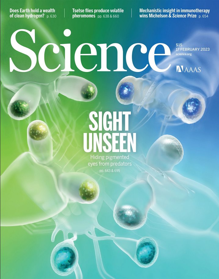 oooitsplasma's tweet photo. 1/4 Today's issue of @ScienceMagazine was my final cover as Senior Scientific Illustrator @ScienceVisuals. So lucky to have gone out on a paper with such fantastic authors as @ShavitKeshet @BenpalmerLab (tag others I couldn't find handles for!) https://t.co/ddXahL4gSp