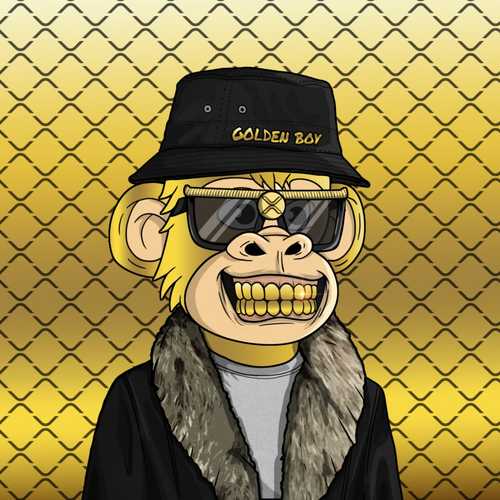 cryptovalky's tweet photo. @moneymindedapes did it again! There #TopGApe collection is out on @onXRPdotcom 🏆 They made the OG custom MMA in TGA edition!!! Will you look at this freaking TGA Golden Boy!!!! Speechless!! https://t.co/84RJflqN6t
