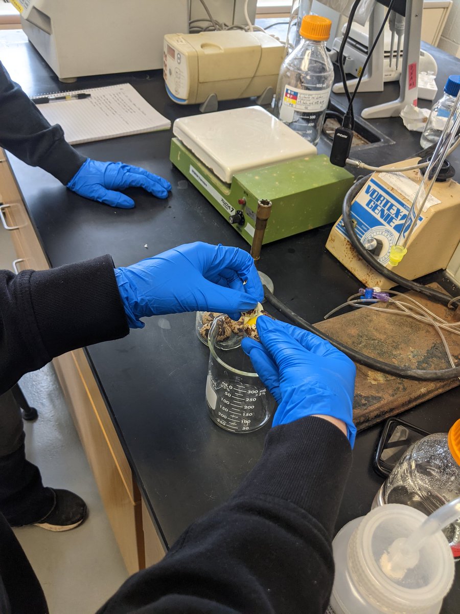 Loras College Chemistry tweet media