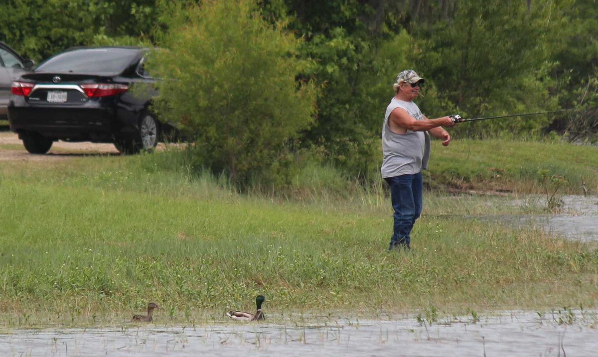sputterfuss6's tweet photo. #bird #birdtwitter #photography #flight #mallards #TerryB i saw the ducks land in the weeds and hoped one of the two guys fishing up that way might walk out and flush them..i could not have planned it better https://t.co/g8v8QASquc