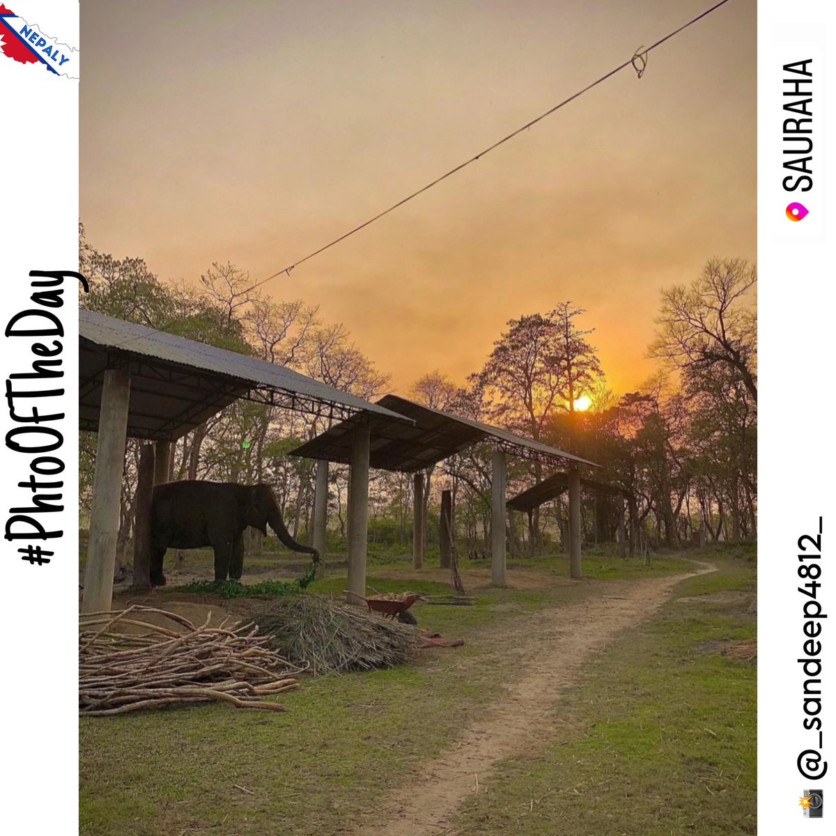 thenepaly's tweet image. #goodmorning #शुभप्रभात from #sauraha #chitwan   #nepal 😲😍 🏔️ 🇳🇵 
Pic. Credit: @_sandeep4812_ 
#nepali #travelnepal #nepaly #PhotoOfTheDay