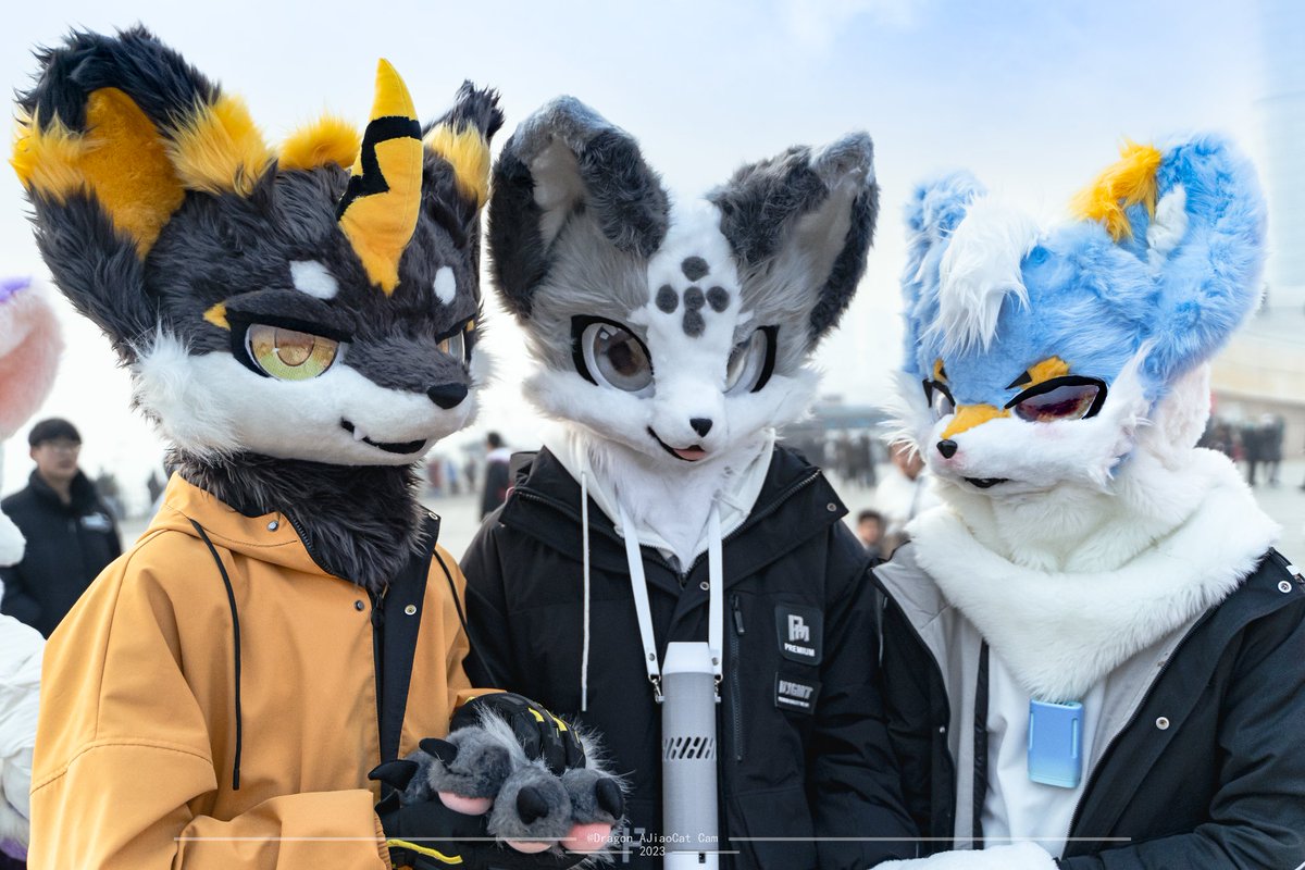 去码头整点薯条
是我家阿胶<a href="/Dragon_AJiaoCat/">那么大的一只阿胶🔜WFF</a>拍的(｡･ω･｡)ﾉ♡
#FursuitFriday