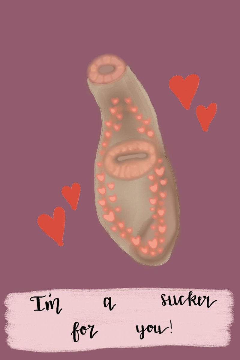 angieminnie23's tweet photo. Was inspired by journal club sharing adorable parasitology themed valentine's e-cards. Thought I'd try make my own, there isn't actually much of parasite doodles and art. Used PenUp. hopefully will get more artsy with time 😄#parasitology #digenea #ValentinesDay #sciencedoodles https://t.co/yukggi6UrB