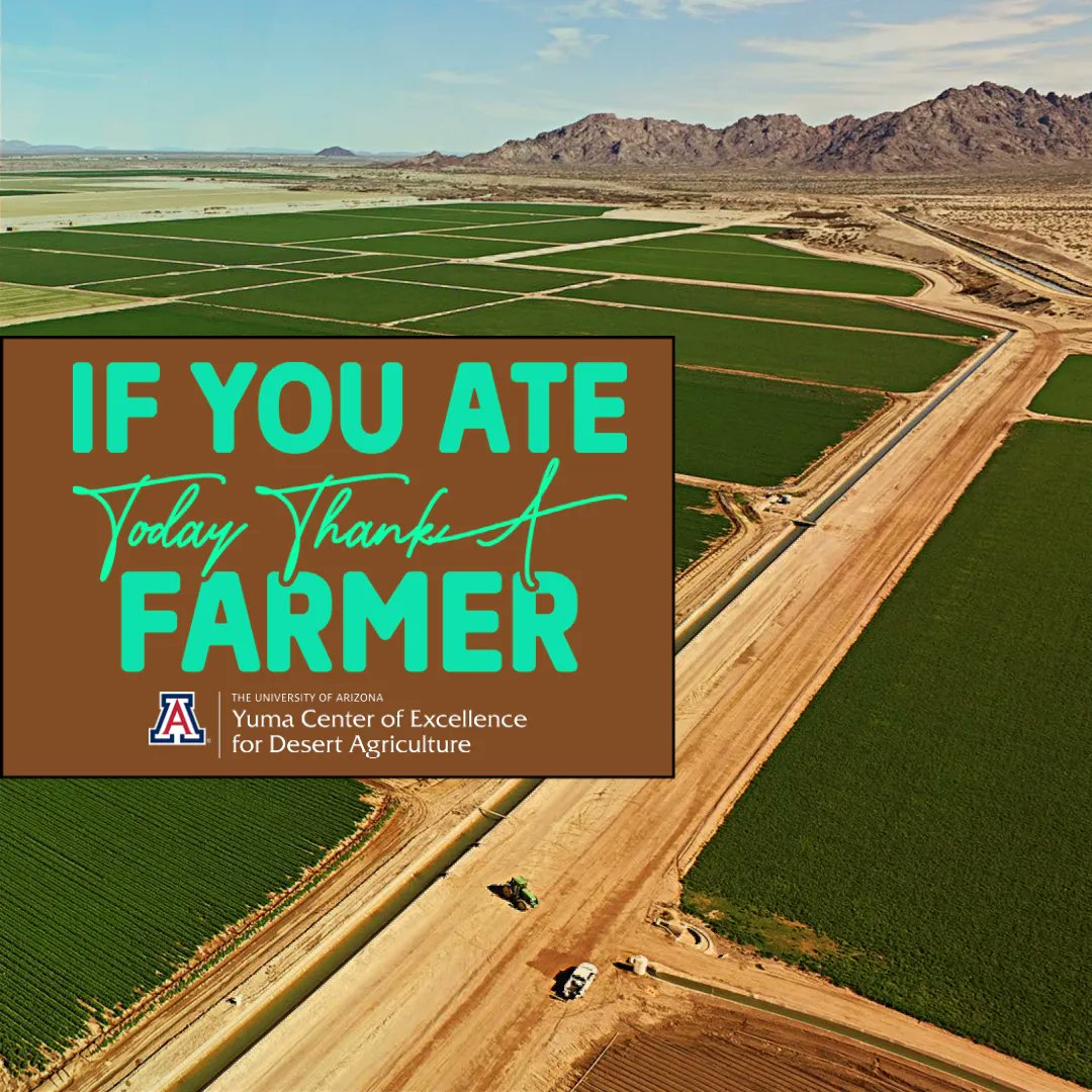 Yuma, known as the winter salad bowl, produces about 90% of North America’s winter leafy greens. We recognize and appreciate the dedication of the #AgIndustry who work around the clock to provide nutritious food for our families! #ThankAFarmer