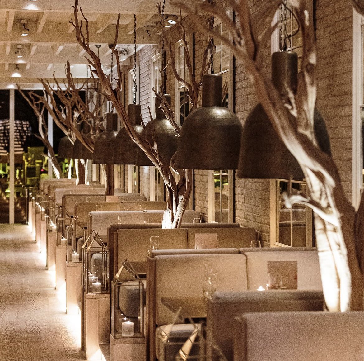 Australasia tweet media