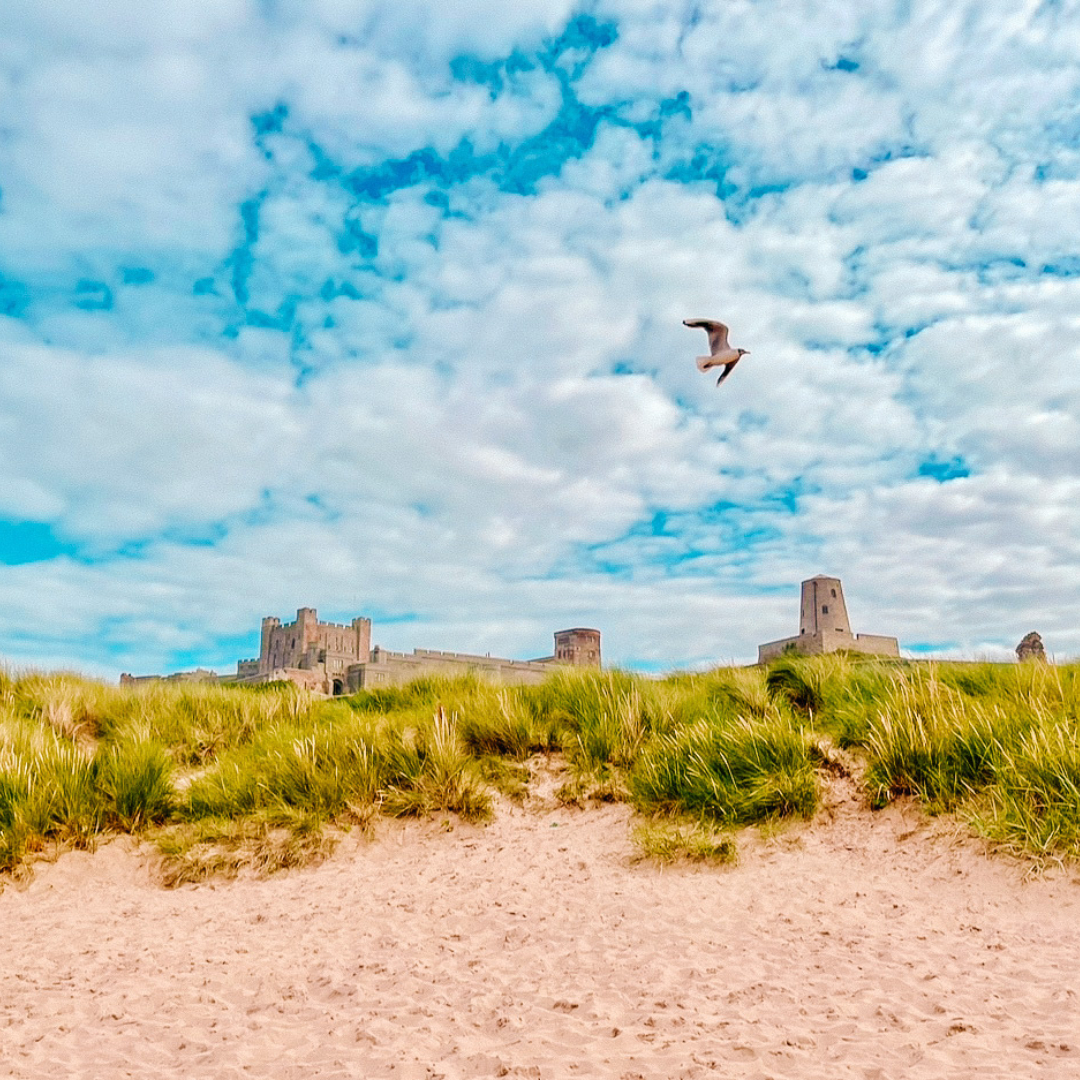 UKTravelPlans's tweet photo. "Magical moments at Bamburgh Castle 🏰✨ There's something so captivating about this stunning fortress rising from the sands, against the backdrop of the wild Northumberland coastline. With the sound of waves crashing on the shore, and the warm glow of the setting sun casting https://t.co/HsSBT2yMFh