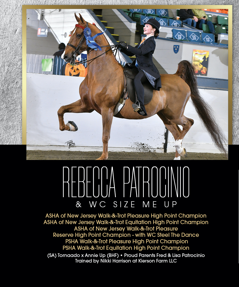 TNH1865's tweet photo. #nationalhorseman #highpoints #ashaofnj #psha #rebeccapatrocino #kiersonfarmllc #walkandtrotpleasure #walkandtrotequitation #reserve #saddlebred https://t.co/IaFlNWnZVA