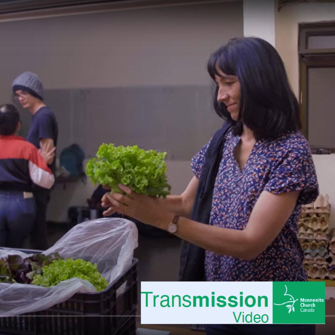 mennochurch tweet media