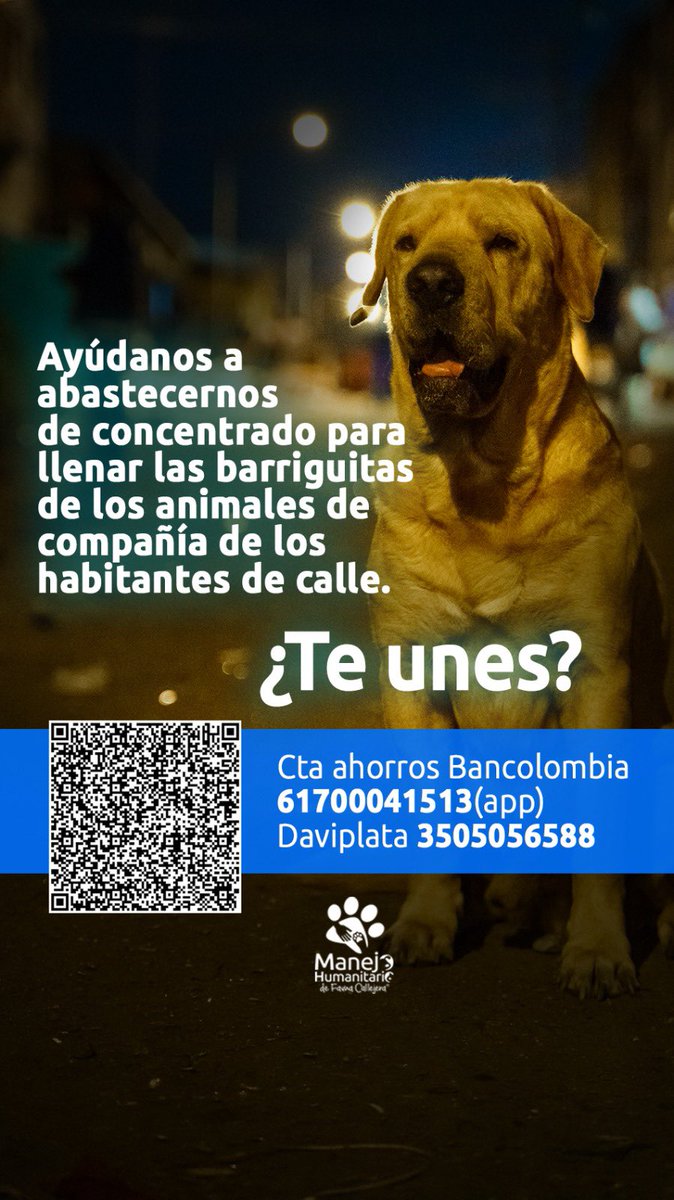 M_Humanitario's tweet photo. Cada jueves vamos hasta un lugar muy olvidado de #Medellín: #PradoCentro donde se encuentran muchos animales 🐶🐱 que necesitan de toda nuestra ayuda, siempre les llevamos un poco de felicidad y comidita para que puedan estar tranquilos durante algunas noches ☺️. https://t.co/cvGoMxVWAM