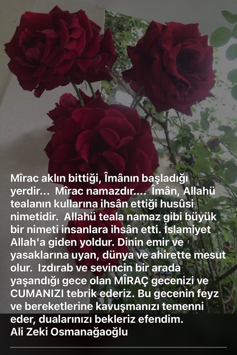 alizekio's tweet photo. https://t.co/55yjO4tfOF