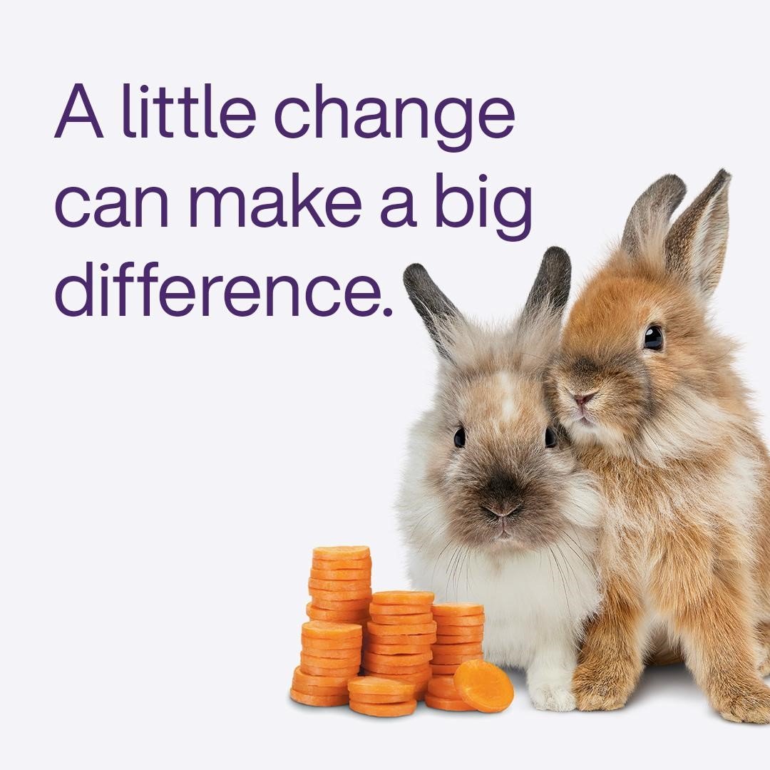 We’ve made giving back easier than ever. You can help connect youth to a world of opportunities when you round your TELUS bill to the nearest dollar. 100% of proceeds go to TELUS <a href="/FriendlyFuture/">TELUS Friendly Future Foundation</a> Foundation. Sign up today at telus.com/ChangeForGood 💜 #TeamTELUS
