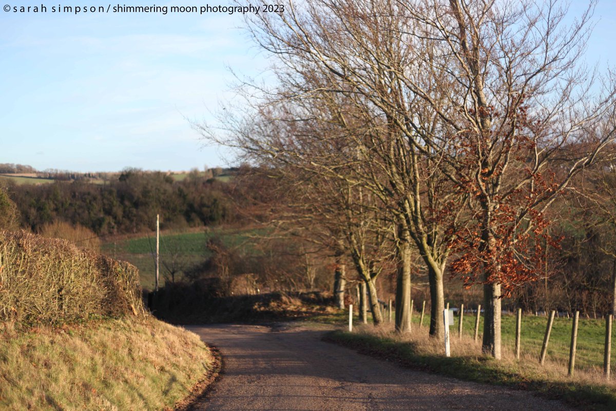 ShimmeringMoonPhoto tweet media