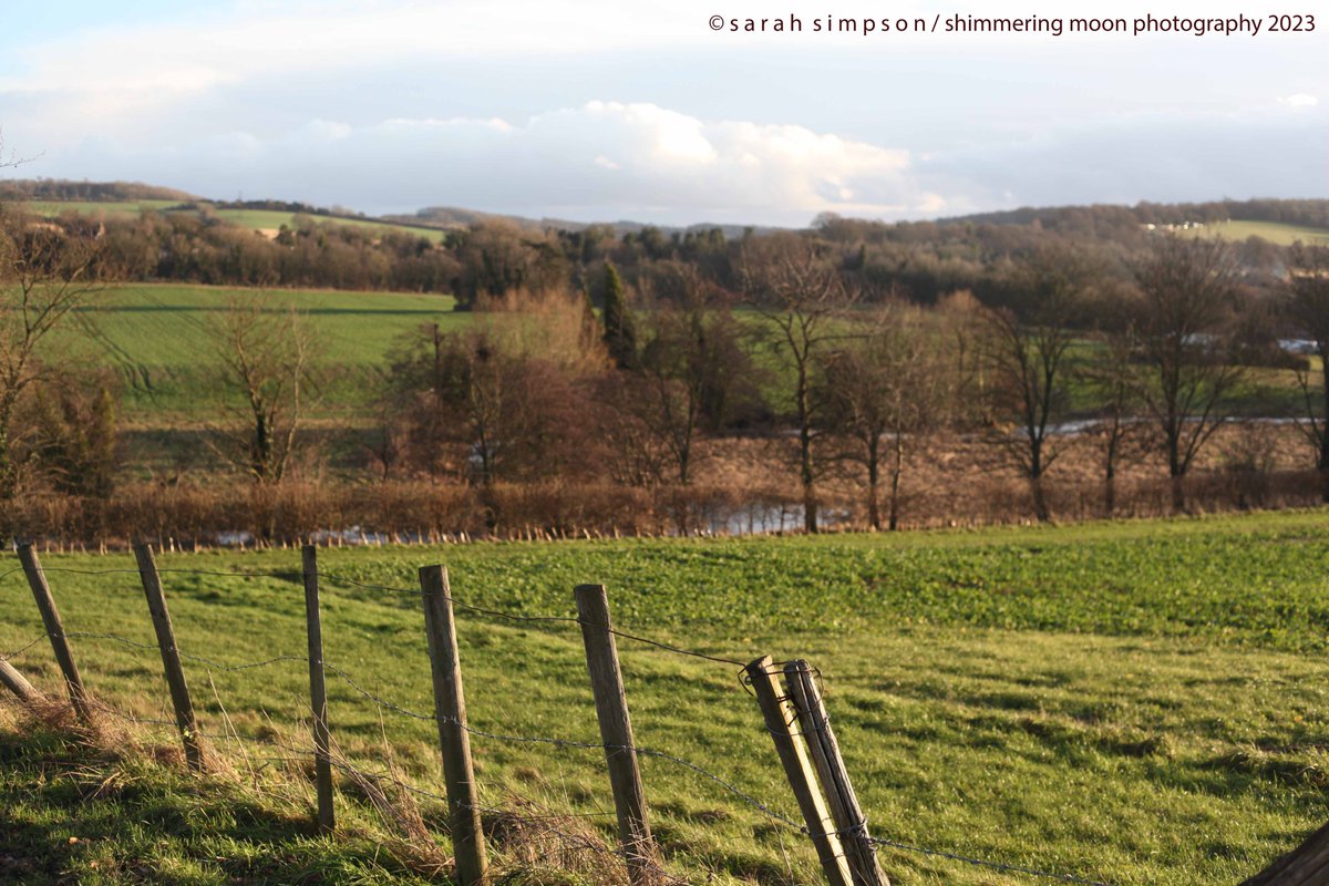 ShimmeringMoonPhoto tweet media