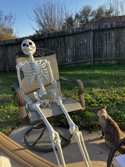 I died waiting for a fuck to give🕺🏻 https://t.co/FfvtwAY94F<a href="/tag/ass"class="tags"><span>#ass</span></a><a href="/tag/asspic"class="tags"><span>#asspic</span></a><a href="/tag/upskirt"class="tags"><span>#upskirt</span></a>