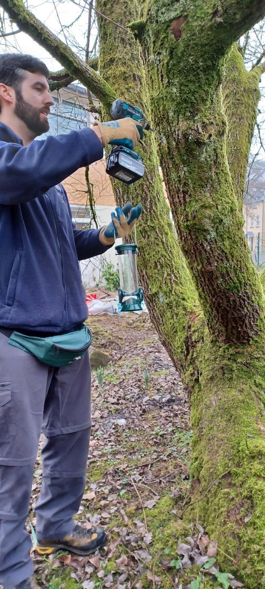 Thank you @GwentWildlife for your visit to help @BlaenauGwentKWT #LocalPlacesforNature garden project @YGTredegarCS. Yr 8 pupils from the @EcoSchoolsTCS committee enjoying the @OutdoorsYGTCS as they placed bird/hedgehog boxes  #standfornaturewales #backtonature @YGT_Mr_Howells