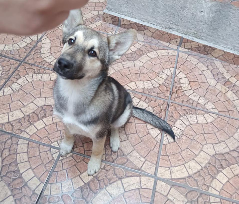 acompañábamos. Hasta que un día una joven de 15 años me vió y quiso ayudarnos, me llevó a su casa pero desafortunadamente cuando regresó por mi hermano ya no estaba.

Me dolió mucho perderlo pero al mismo tiempo me sentí feliz de tener un hogar, ella me cuida y quiere mucho,