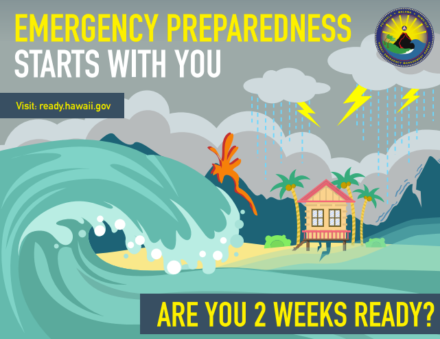 Hawaii_EMA's tweet photo. Saturated soil and winds from the E/SE could increase risk of downed trees, which could knock out power. Are you #TwoWeeksReady? Check emergency supplies, especially batteries/candles. Flooded roads may close with little to no notice. 🧵2/3 https://t.co/paYv0jyWcS