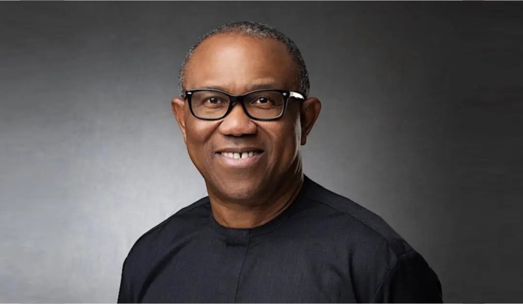 Nigerians: This is your wake-up call! Vote <a href="/PeterObi/">Peter Obi</a> for a new Nigeria. #PeterObiForPresident