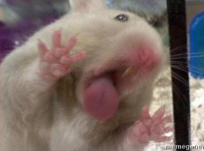 andymatis's tweet photo. @LuisPar34990378 @Flake_uwu @BluRadioCo https://t.co/zDz4OBCr8o
