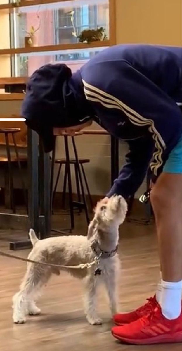 gilmorehrry's tweet image. 🐕