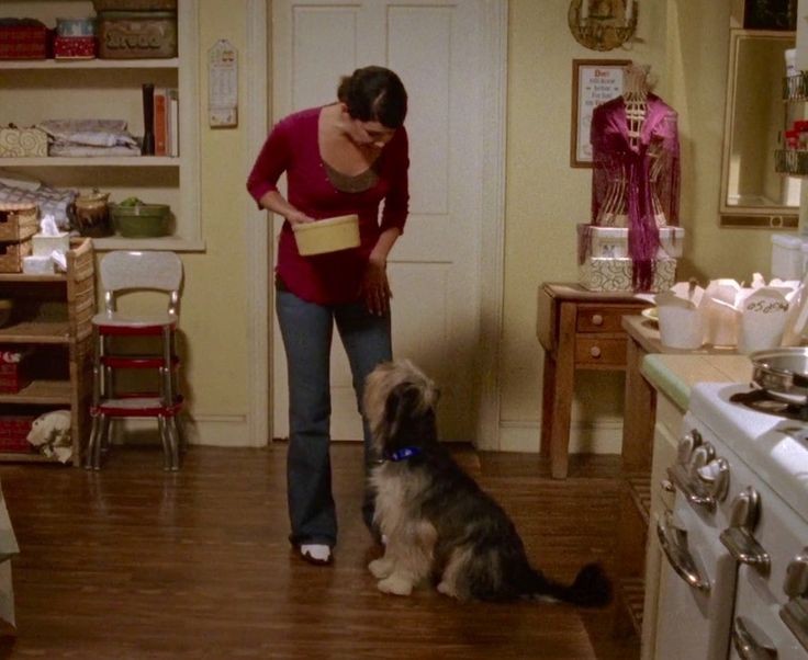 gilmorehrry's tweet image. 🐕