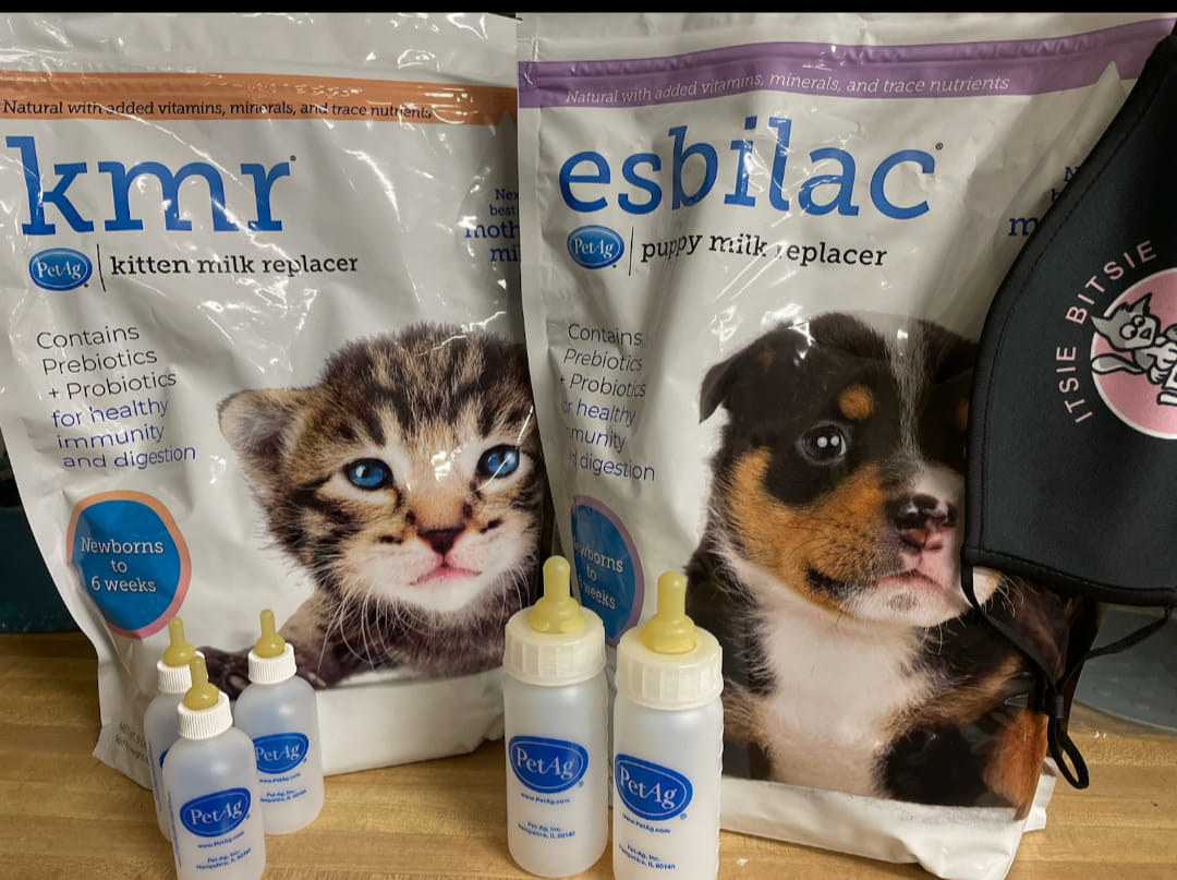 IBRescue's tweet photo. #ThankfulThursday
It was an honor to be nominated for #PetAg's National Shelter Appreciation Giveaway, and we sincerely thank everyone who voted! ❣️🐾😻💞
These will help tremendously in saving lives.
#gratitude #kittenseason #puppyseason https://t.co/juPXmhwaVz