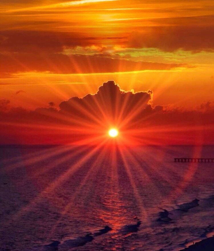 زمان ، زمانه ی وقوع زلزله های باطنی و ظاهریست...

از وقایع چند ماهه اخیر ایران تا زلزله ی ترکیه...

معاذالله
بسم الله الرحمن الرحیم 
اذا زلزلتِ الارضُ زلزالها۱ و اَخرجت الارض اثقالها۲
👈و قال الانسان ما لها۳ یومئذ تحدّث اخبارها۴...

#tehran
#Iran