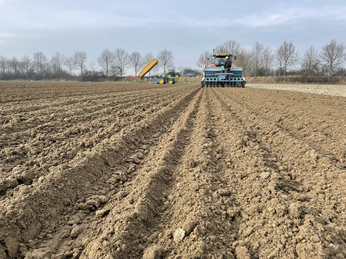 Lennart Moerdijk tweet media