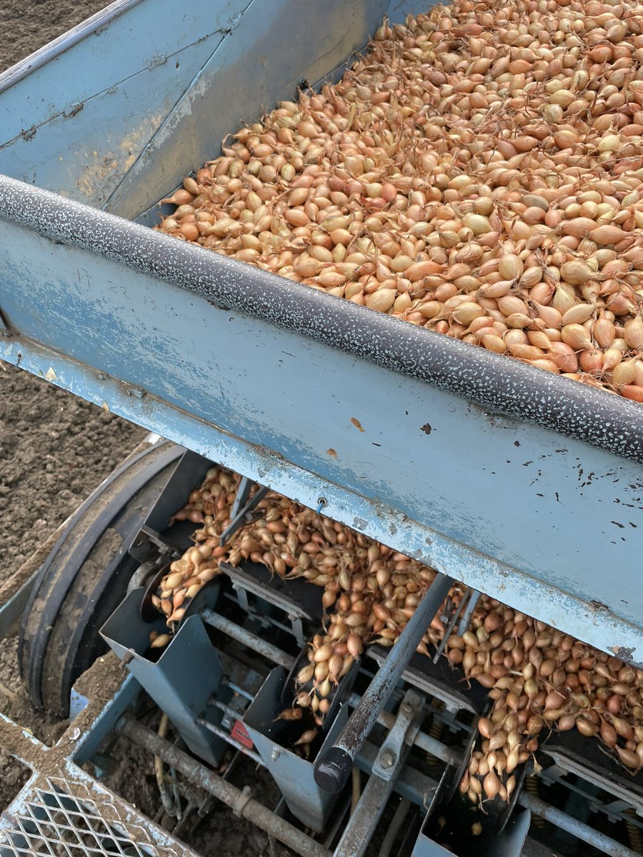 Lennart Moerdijk tweet media