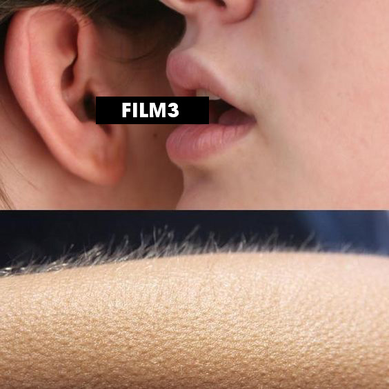 The #film3 community is 💪! 

DCP is all about discovering and empowering #filmmakers. Our democratic film fund is powered by the COMMUNITY. A community filled with creatives, #film fans and industry professionals. #indiefilm #Web3 

Join the movement 👇
App.decentralized.pictures