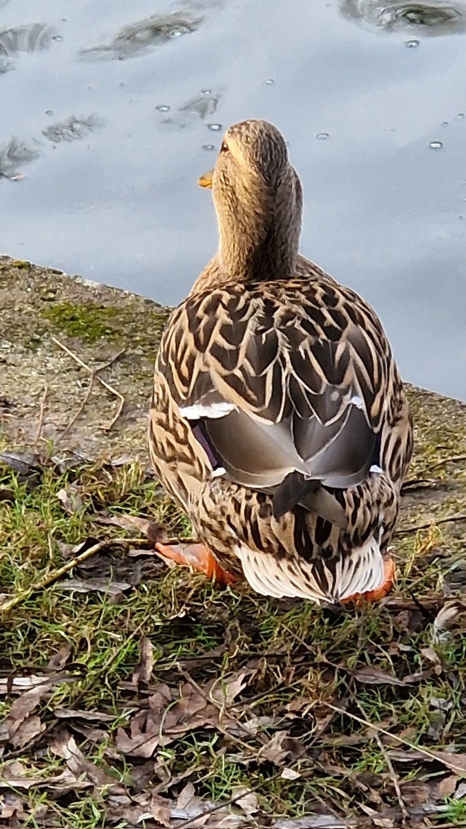 Schöner Rücken....kann auch entzücken  😌