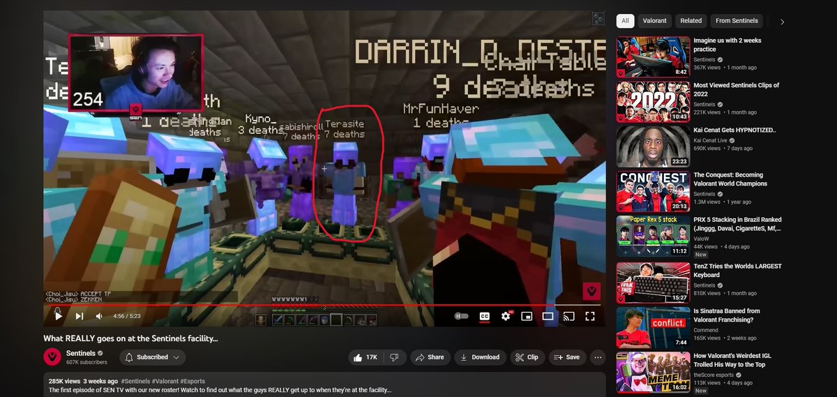 The one time I was cameo in a <a href="/Sentinels/">Sentinels</a> video!!😅🌹