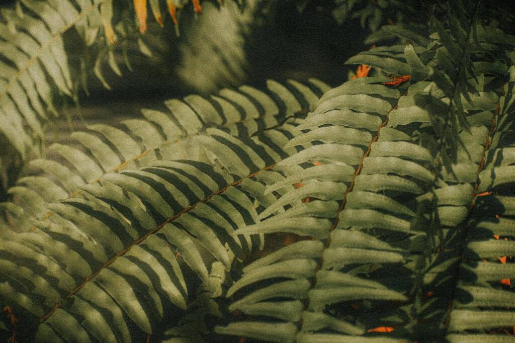 😴 instagr.am/p/CovLiBeMud6/