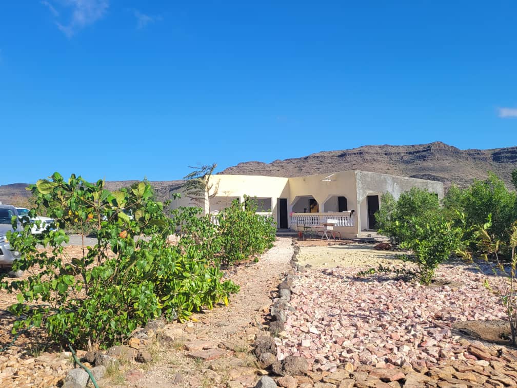 23Kidar's tweet photo. #Djibouti
Découvrez Dafainetou à 10km de adailou à Djibouti  sous un nouvel angle ! Entre nature préservée et vue à couper le souffle, vous allez adorer explorer un lieu unique en son genre 🌿réserver sur 77080897 https://t.co/QQNqEXmira