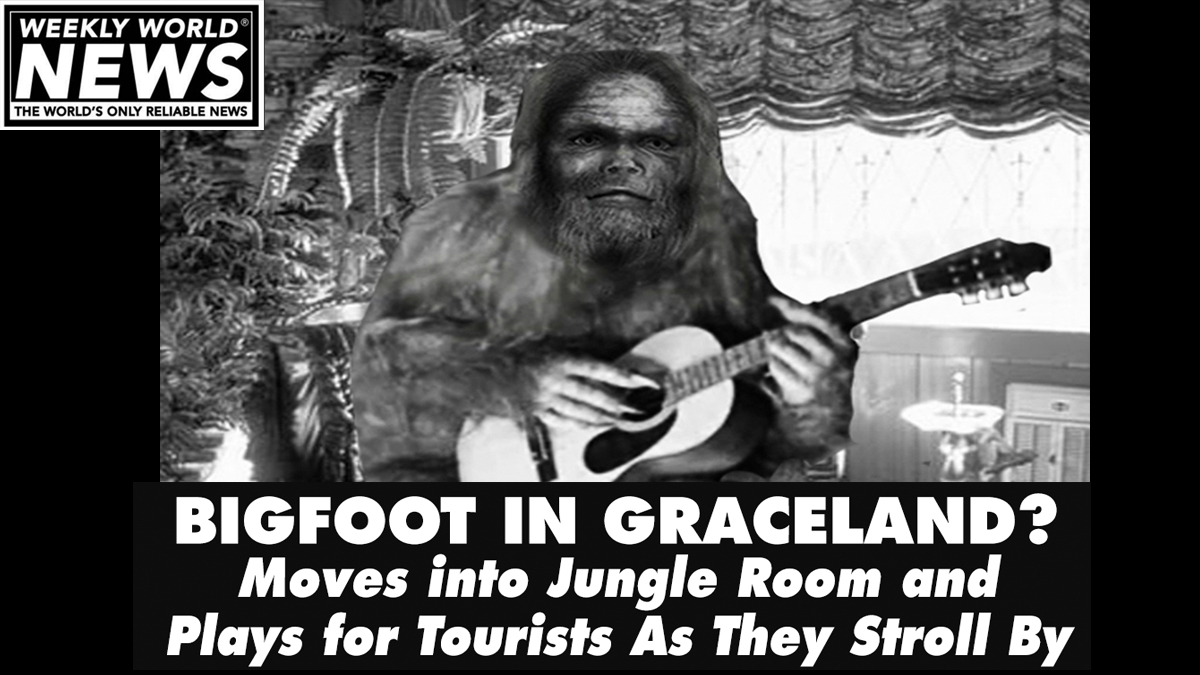 'He's singing better every day and... he's not a bad guitar player either.  He just wants to soak up all he can from Elvis' home.'
#bigfoot #graceland #elvis #jungleroom #memphis #guitars #singing