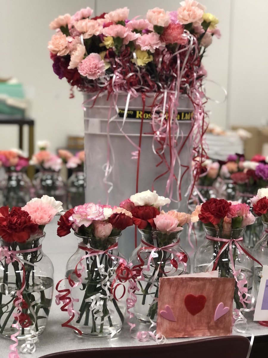 MrsDePasqua's tweet photo. I am so proud of the St Matthews school family! We delivered carnations and valentines (student made) to 2 LTC homes, two assisted living homes, and St Jospeh Hospice! Thank you to our partners Shell and LaPiers Flowers! @SCCDSB @Demers7Demers @mrharePRT https://t.co/Z4HRMc1elV