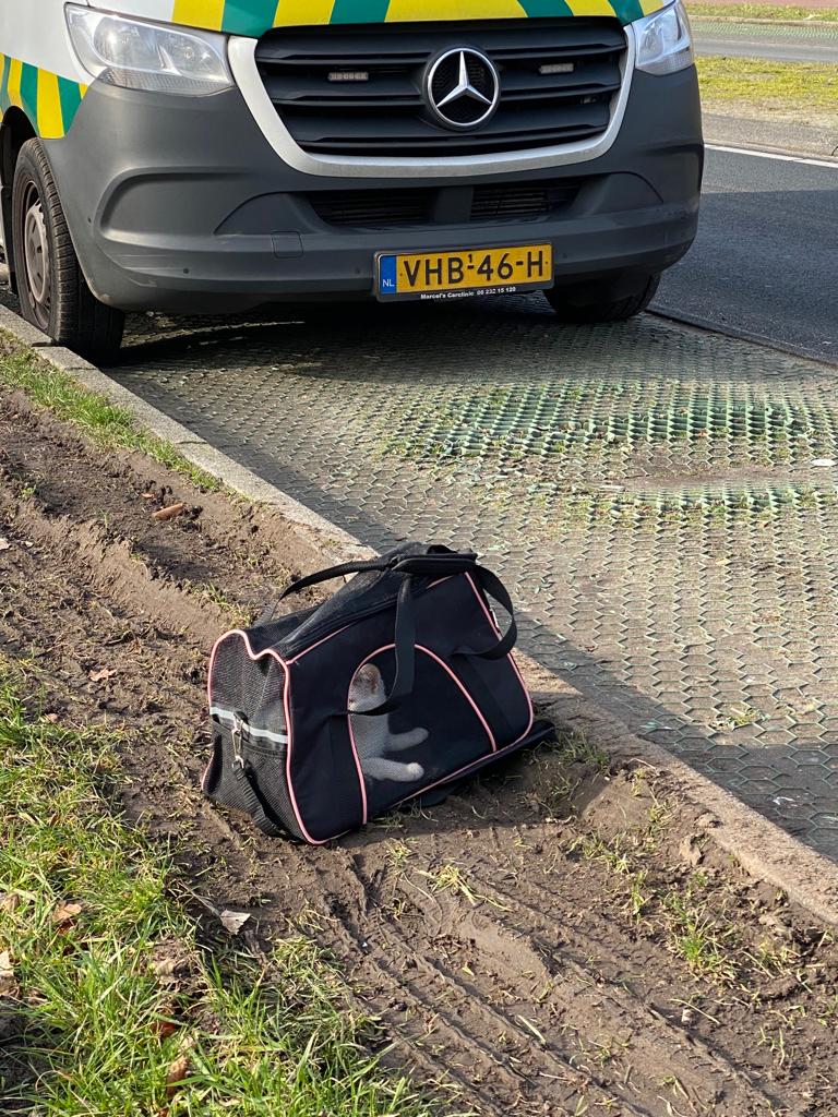 Dierenambulance Amsterdam tweet media