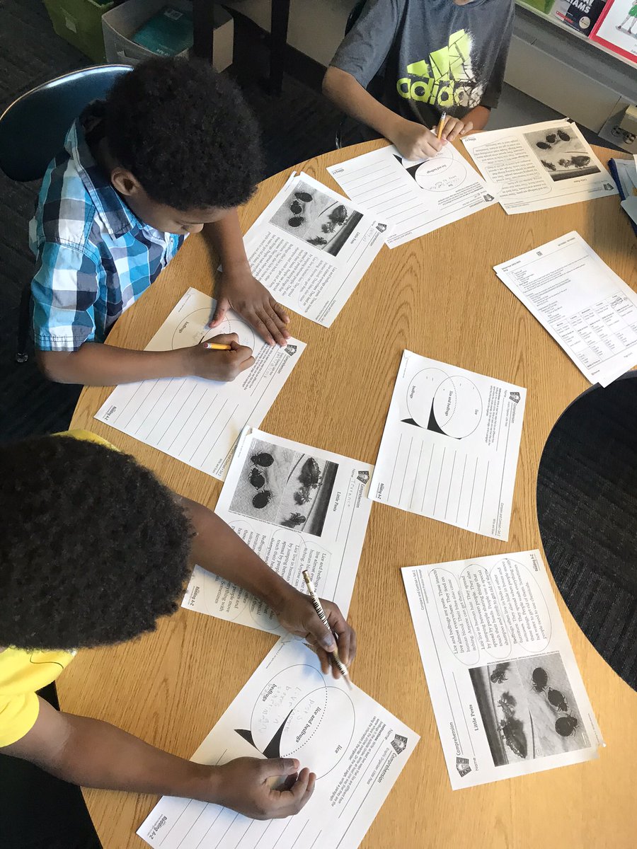 MissSergi's tweet photo. We have loved working on comparing and contrasting this week! The โwho would winโ books have been engaging and fun! #warrenwill #reviewweek https://t.co/CKC7yeNj7G