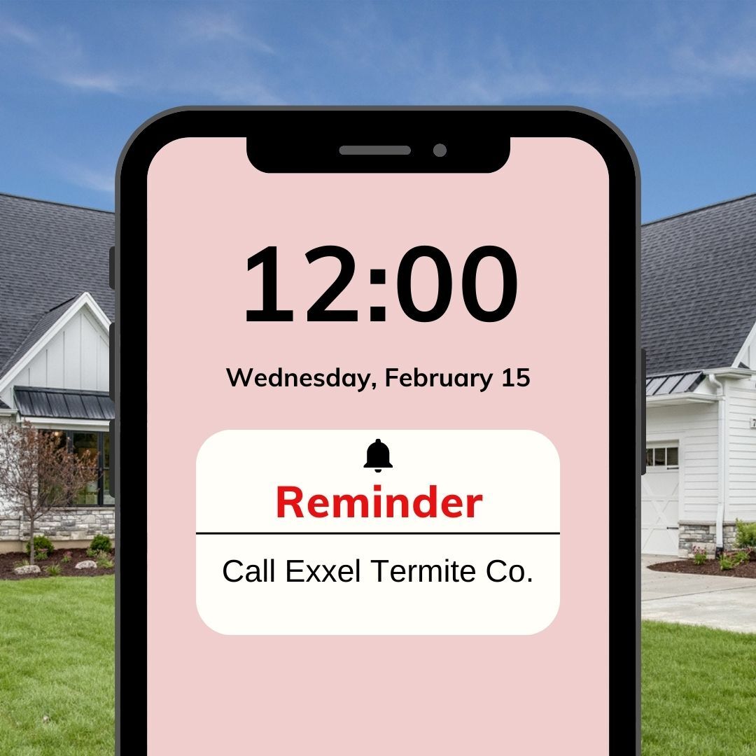 Are you in need of an inspection? Don't hesitate to call us today to see what your options are at (866)-787-6483! 🏠🦟🚫
#elliethetermite #termitedamage #termiterepair #exxeltermiteco #drywood #dryrot #repairs #lacounty #orangecounty #inspection #fumigation