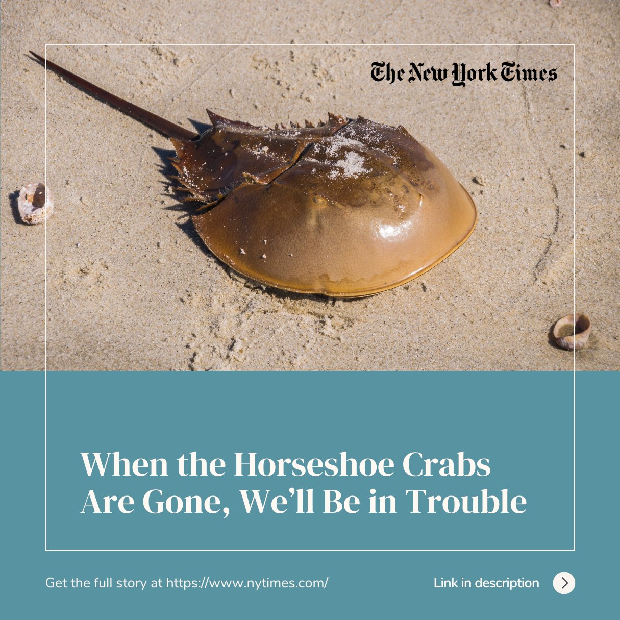 Stacy Jupiter (StacyDJupiter) / Twitter