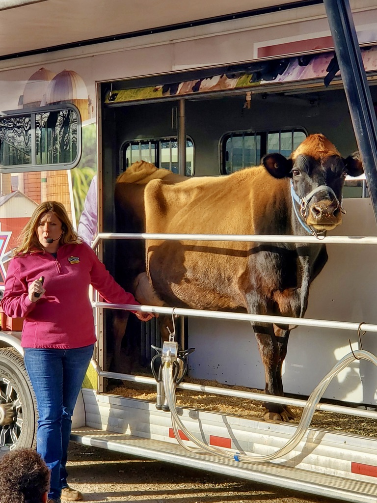 ShawneePublic's tweet photo. Did you know dairy is the 5th largest agricultural business in Oklahoma, generating $177 million a year? Horace Mann students learned more about the dairy industry as a career path. They even met an adorable cow named Snickers. #ICAP #WorkforceDevelopment #ShawneeSTRONG https://t.co/G7AEgP1eQ1