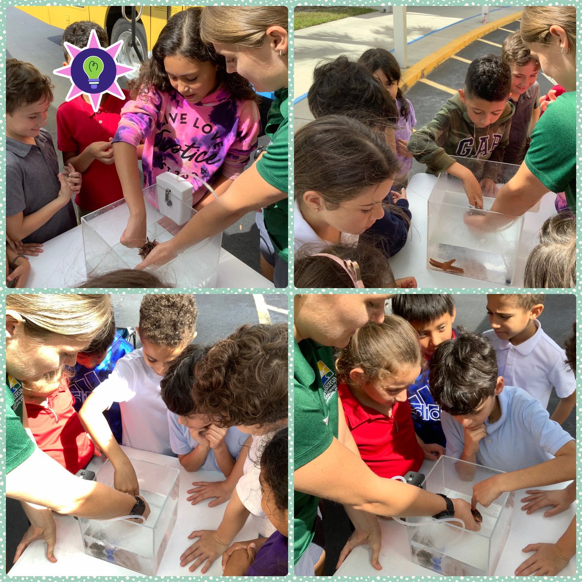 Mrs. Mook tweet media