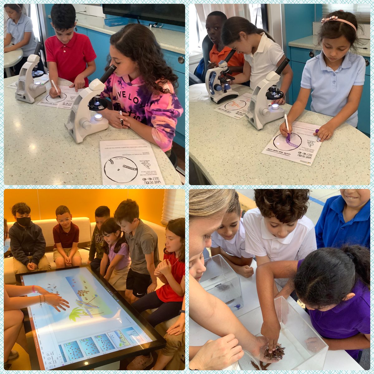 Mrs. Mook tweet media