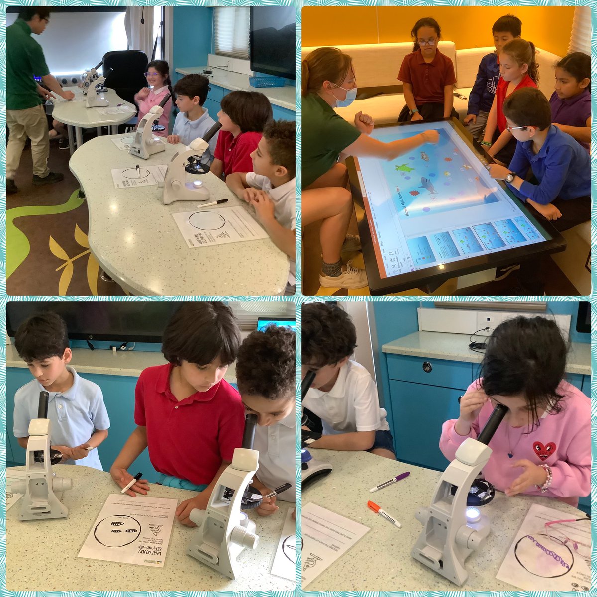 Mrs. Mook tweet media