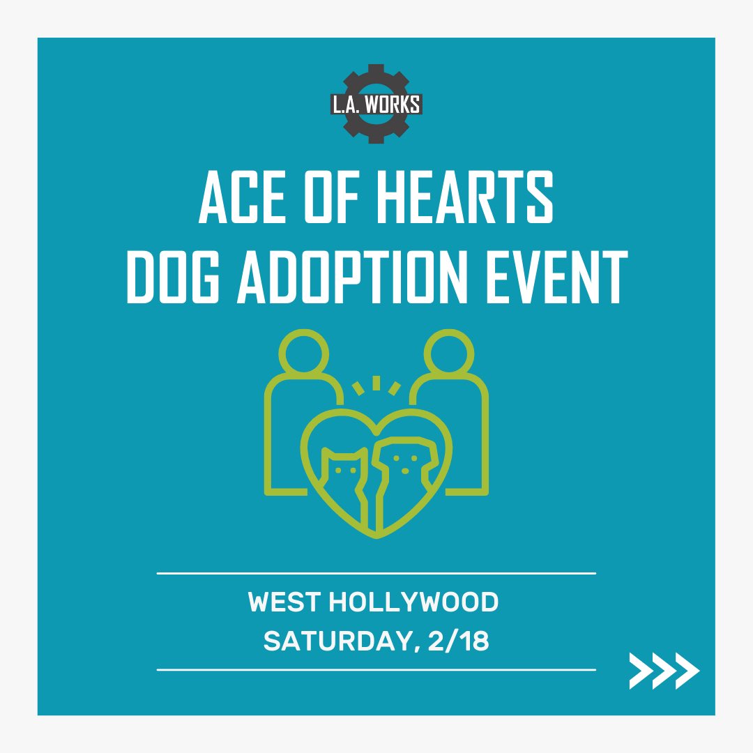 LAWorksNow's tweet photo. Interested in volunteering this weekend? Check out these volunteer opportunities 💚 (1/2) https://t.co/JyB8eKl1Pe