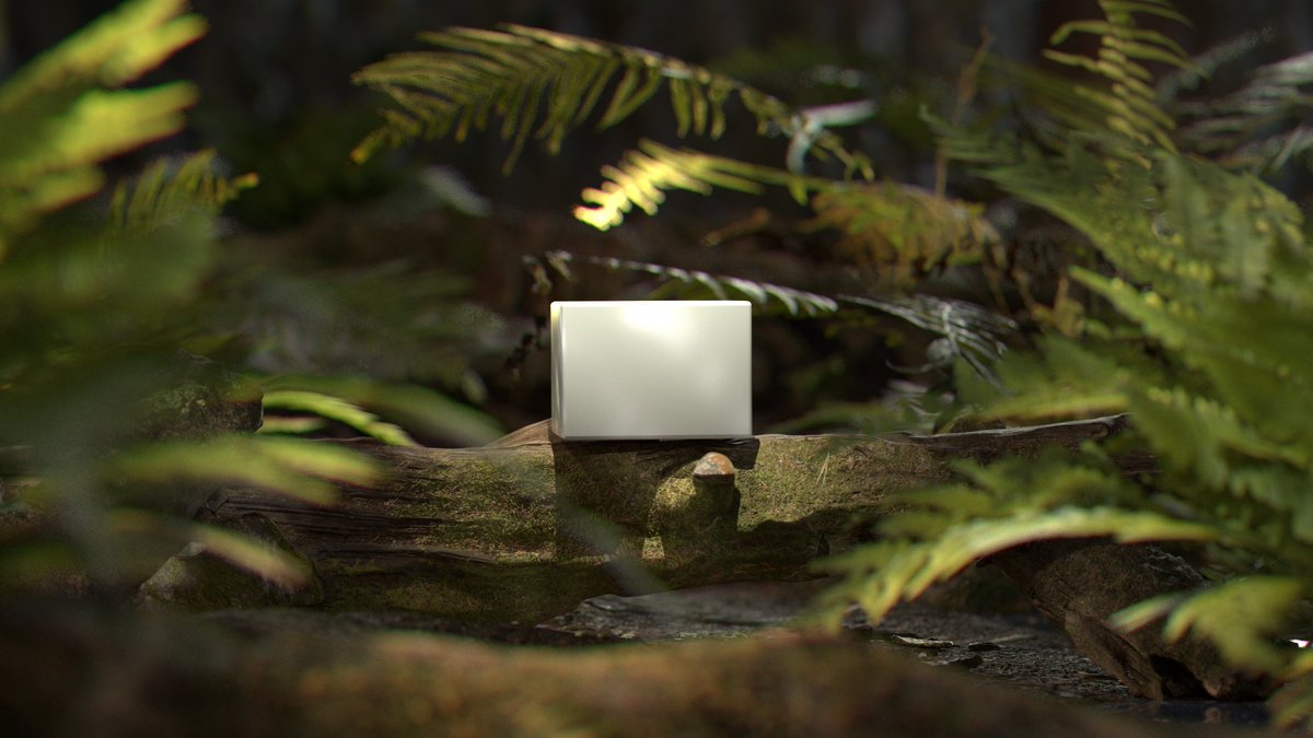 easyeaseeasyout's tweet photo. Fern forest and cube!

#c4d #mograph #motiondesign #3denvironment #fern #vegetation #cg #cgi https://t.co/gZpRLQaD3f